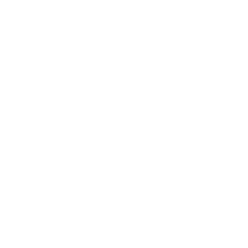 icon-camera white 248 in-vehicle camera systems